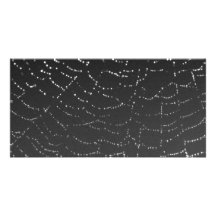 Sparkling Spiderweb Picture Card