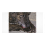 Sparky Custom Photo Card