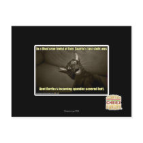 Sparky's last sight post cards