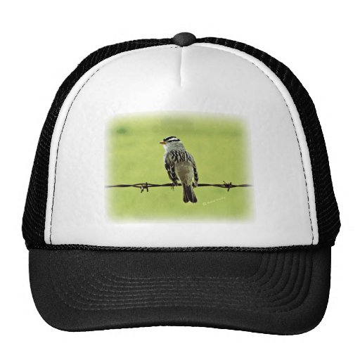 Sparrow "Bird on a Wire" Hats