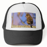 Sparrow Trucker Hats