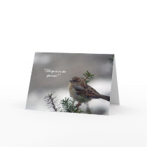 Sparrow, His eye is on the Sparrow! Cards