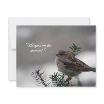 Sparrow, His eye is on the Sparrow! Invite