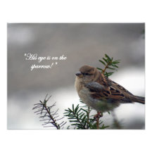 Sparrow, His eye is on the Sparrow! Invite