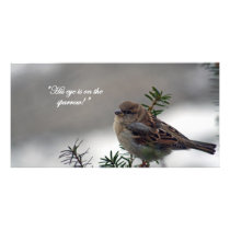 Sparrow, His eye is on the Sparrow! Photo Greeting Card