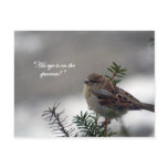 Sparrow, His eye is on the Sparrow! postcards