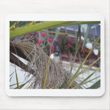 Sparrow in southern Spain Mousemats