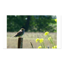 Sparrow on a fence post with flowers business cards