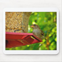 Sparrows in the Backyard Mousepad