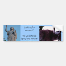 Spay and Neuter Bumper Stickers