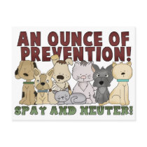 Spay and Neuter Your Pets Postcard