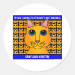 Spay Neuter1C Stickers