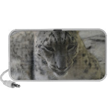 Speaker - Customized