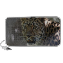 Speaker - Customized