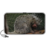 Speaker - Customized