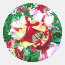 Special tulips - Sticker