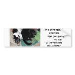 Species vs. Religion bumper stickers