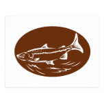 speckled spotted trout fish retro woodcut post cards