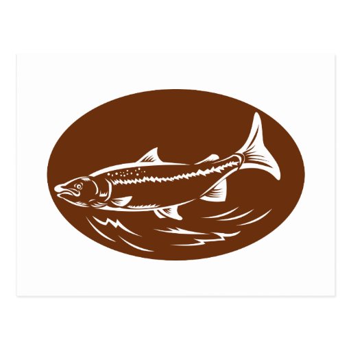speckled spotted trout fish retro woodcut post cards