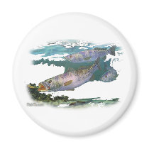 Speckled Trout Feeding