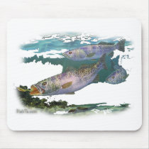 Speckled Trout Feeding