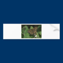 Speckled Wood Butterfly bumper stickers