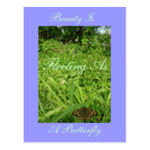 Speckled Wood Butterfly on the Verge Postcards