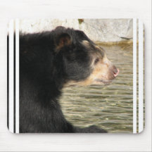 Spectacled Bear Mouse Pad