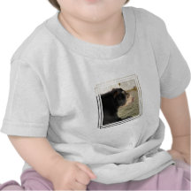 Spectacled Bear T-shirts