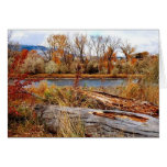 Spectacular Fall Greeting Card