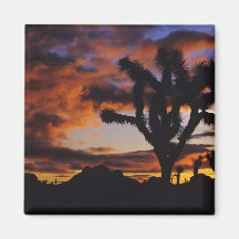 Spectacular Sunrise at Joshua Tree National Refrigerator Magnets