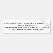 SPEECHES ONLY WORDS....... PROMISES ONLY LIES..... BUMPER STICKERS