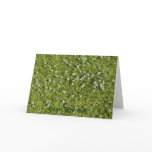 Speedwell Greetings/Note Card