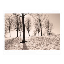 spending winter post card