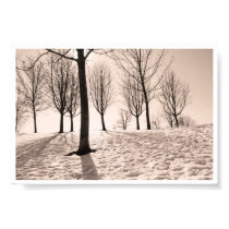 spending winter posters