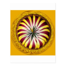Sphere of Gazania Post Card
