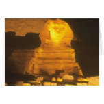 Sphinx at Night Greeting Cards