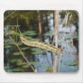 Sphinx Moth Caterpillar on Ludwigia Mouse Pad