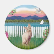 Sphynx Cat 1 - Garden Shore Magnets