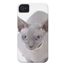 Sphynx cat Case-Mate iPhone 4 cases