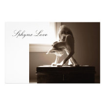 Sphynx Cat Love Custom Stationery