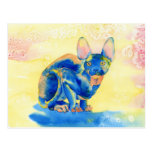 Sphynx Cat Postcards