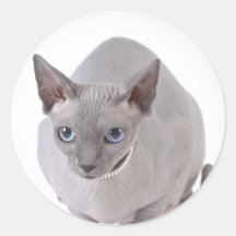 Sphynx cat stickers