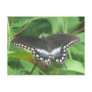 Spicebush Postcard