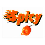 Spicy 3 post card