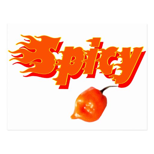 Spicy 4 post cards