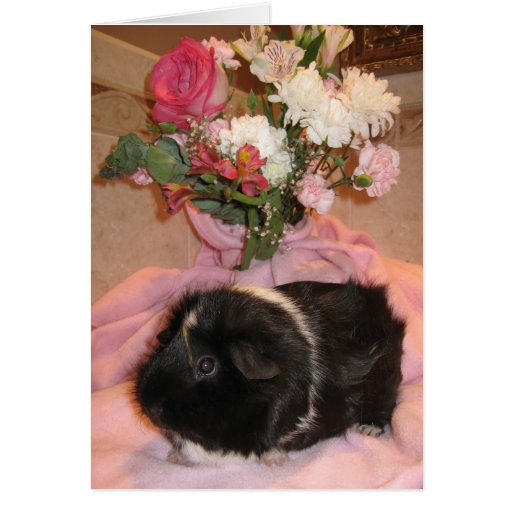 Spicy's Floral Valentine Cards