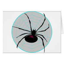 Spider and Web Card