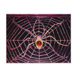 SPIDER AND WEB Red Ruby Black