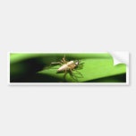 spider bumper stickers